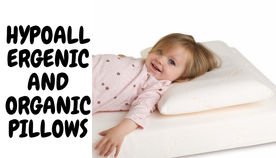 Hypoallergenic And Organic Pillows